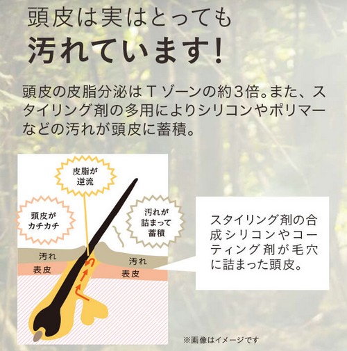 【haru黒髮スカルプシャンプー】100％天然由来のエイジングケアシャンプー