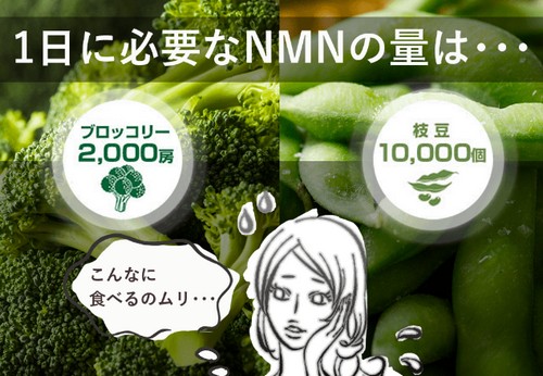 【ファーストセレクト NMN】今話題の新成分！高純度サプリ！
