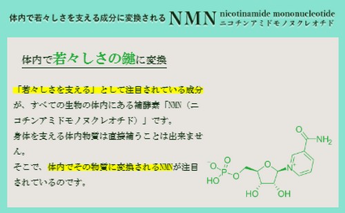 【ファーストセレクト NMN】今話題の新成分！高純度サプリ！
