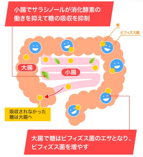 【メタバリアプレミアムEX】富士フイルムの糖質ケアサプリ！2袋のお試しチャンス
