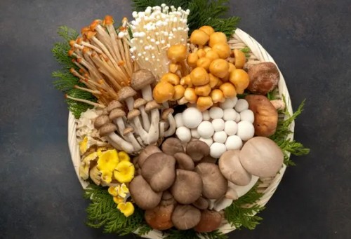 ダイエット中の食事って？健康的に痩せるポイント！
