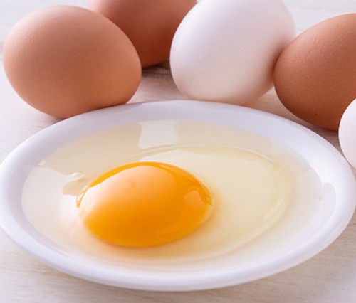 たんぱく質を豊富に含む食べ物って？たんぱく質の摂取源！