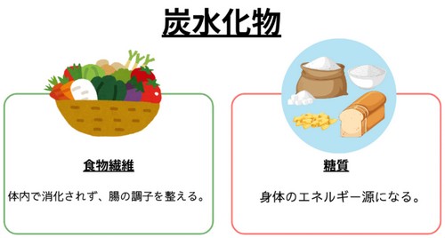 糖質と炭水化物の関係って？摂取目標量は！
