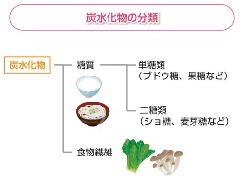 糖質と炭水化物の関係って？摂取目標量は！
