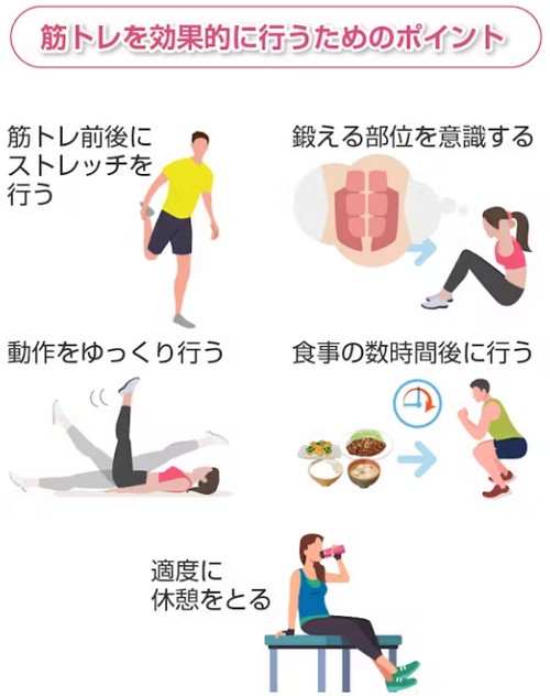 筋トレは週何回？適切な負荷のかけ方は！
