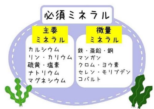 ミネラルって？体に必要な理由は！
