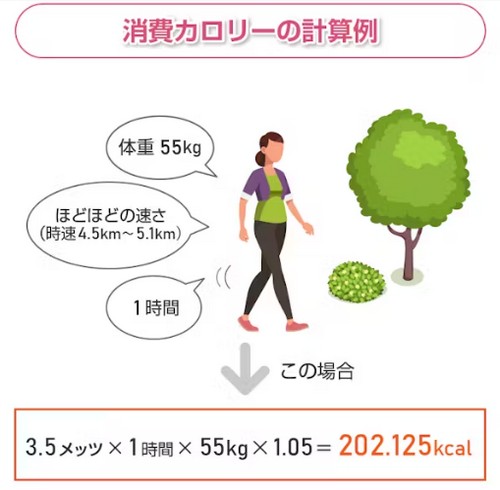 ウォーキングの消費カロリーって？
