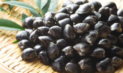 ビタミンB群を豊富に含む食べ物って？
