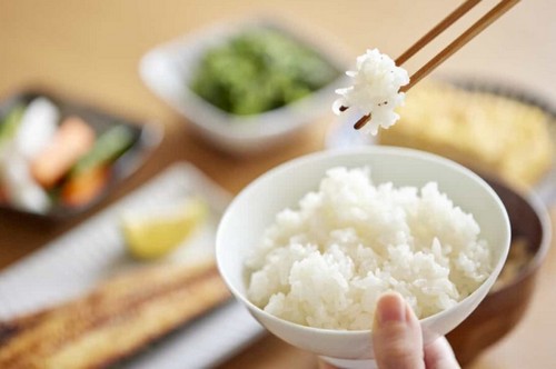 筋トレは週何回？適切な負荷のかけ方は！
