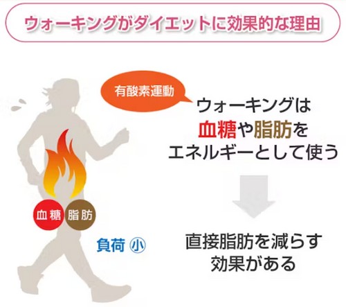 ウォーキングのダイエット効果って？正しいやり方！
