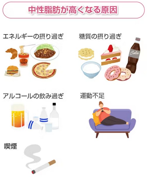 中性脂肪（トリグリセリド）って？体内でのはたらきは！
