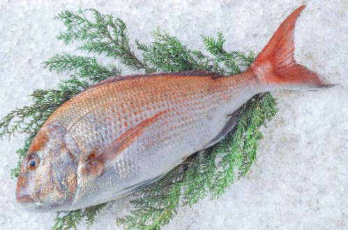 脂質の多い食べ物って？摂取方法は！
