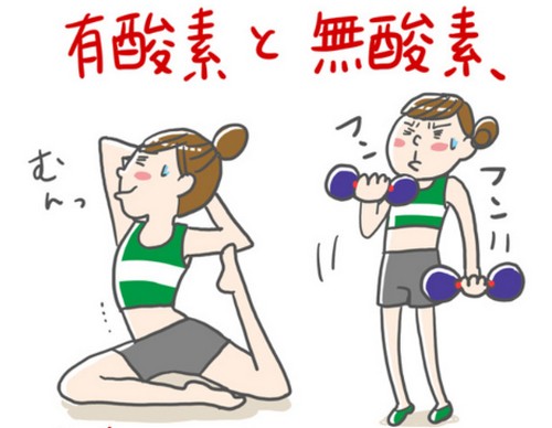 無酸素運動って?種類や効果、有酸素運動との違い!