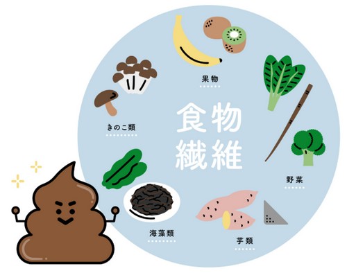 食物繊維は1日にどれくらい!摂取目標量って?