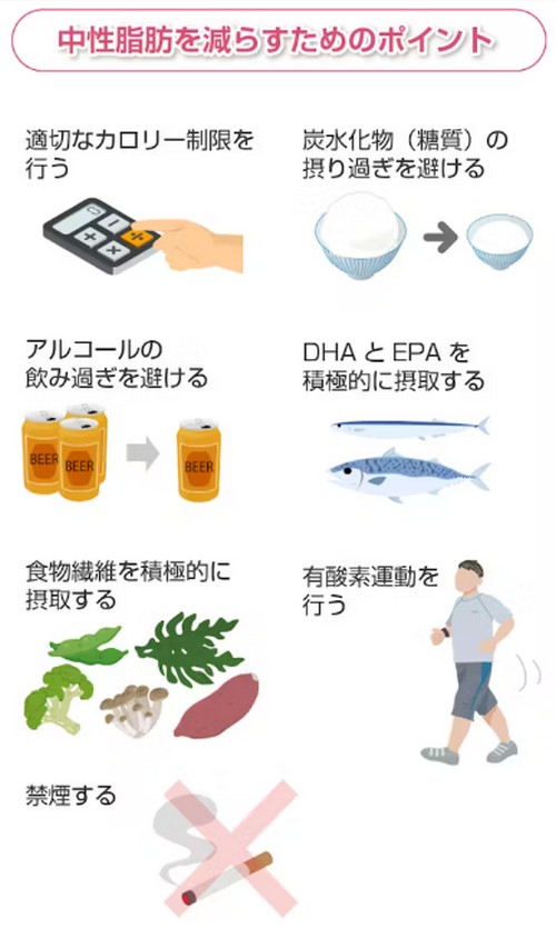 中性脂肪（トリグリセリド）って？体内でのはたらきは！
