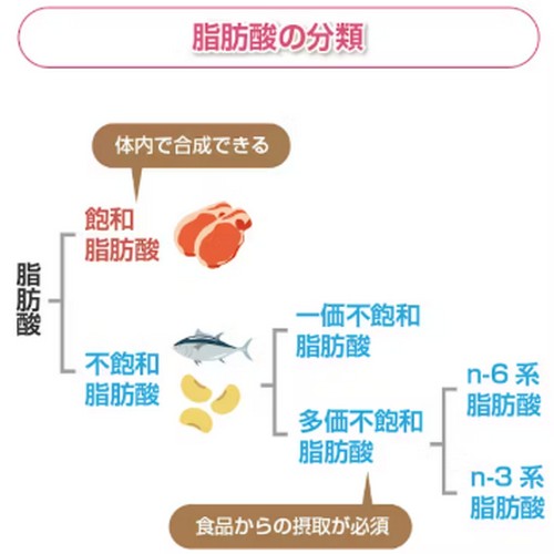 脂質の多い食べ物って？摂取方法は！
