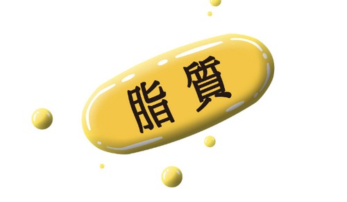 脂質の多い食べ物って？摂取方法は！
