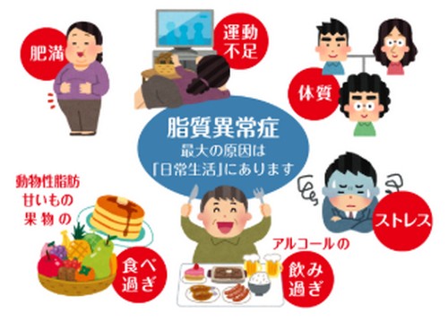 脂質異常症って?発症の原因や健康への影響!