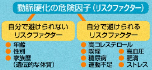 動脈硬化って?原因や進行を防ぐポイント!
