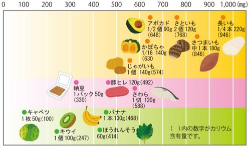 カリウムを豊富に含む食べ物って?