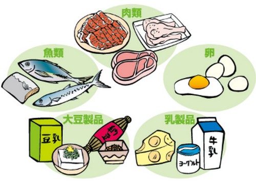 基礎代謝量って？年齢別の目安や計算方法！
