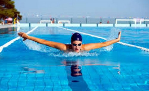 水泳の種目別消費カロリーって?