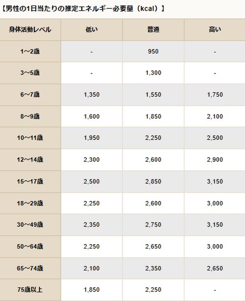 基礎代謝量って？年齢別の目安や計算方法！
