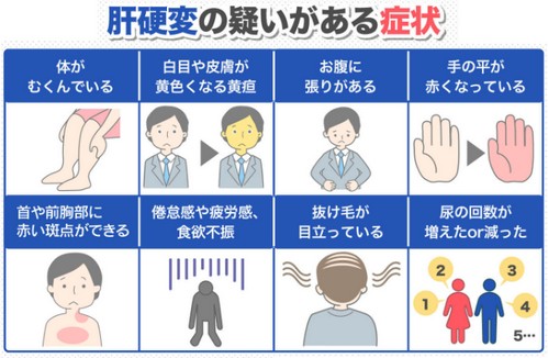 脂肪肝は大きな病気を引き起こす?改善法は!