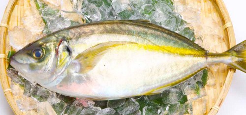 脂質の多い食べ物って？摂取方法は！
