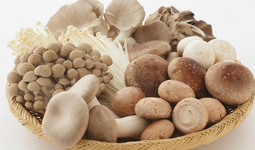 食物繊維はダイエットの味方なの?食事のポイント!